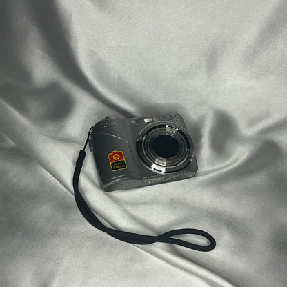 Kodak Easyshare CD90 12.0 mp Silver